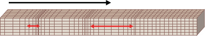 P : (longitudinal wave)